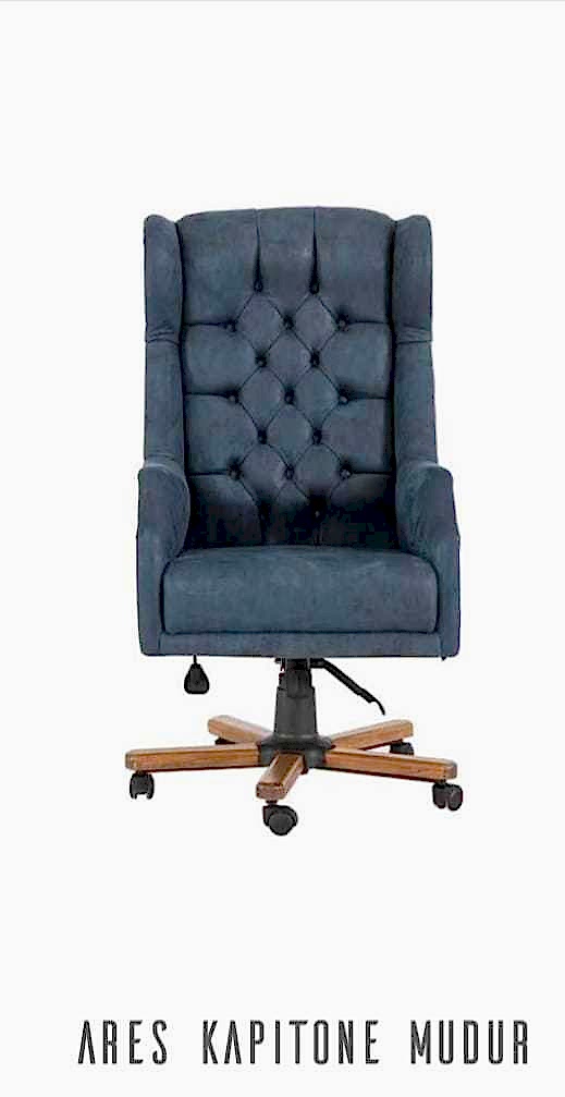 Ares makam koltuğu - Ofis Mobilyaları