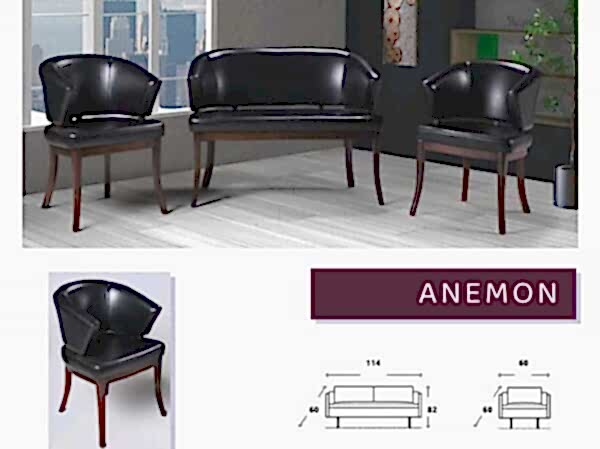 Anemon oturma grubu 2+1+1