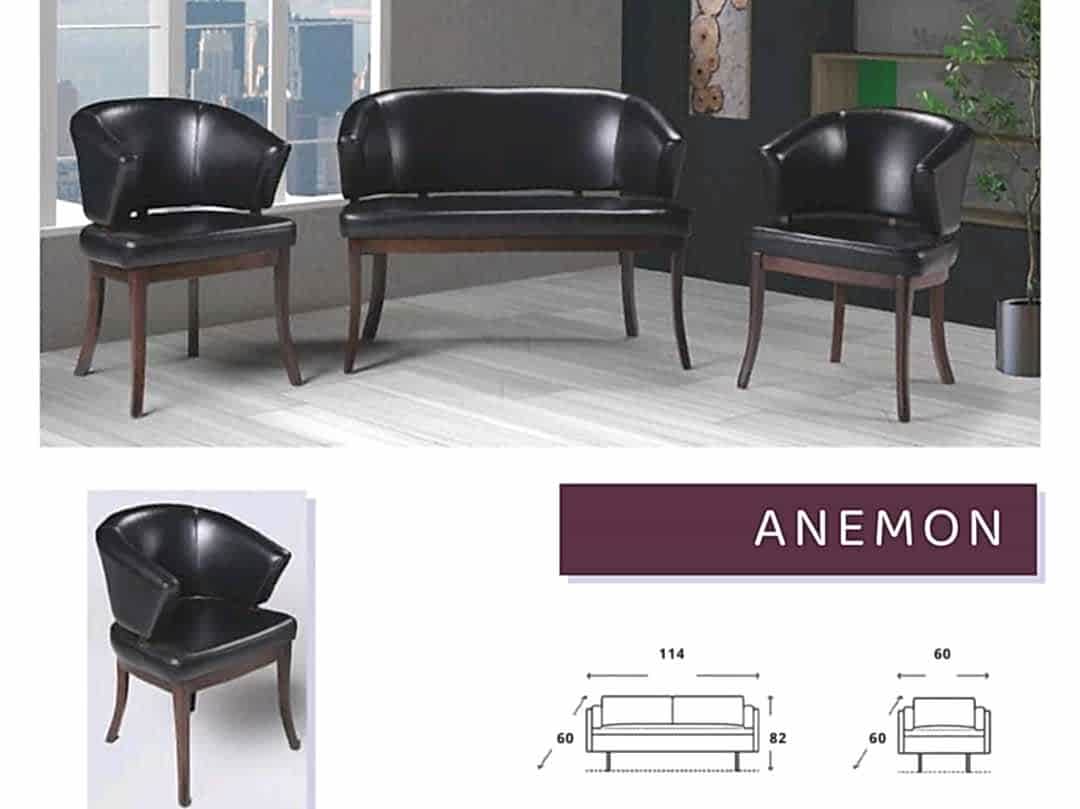 Anemon oturma grubu 2+1+1